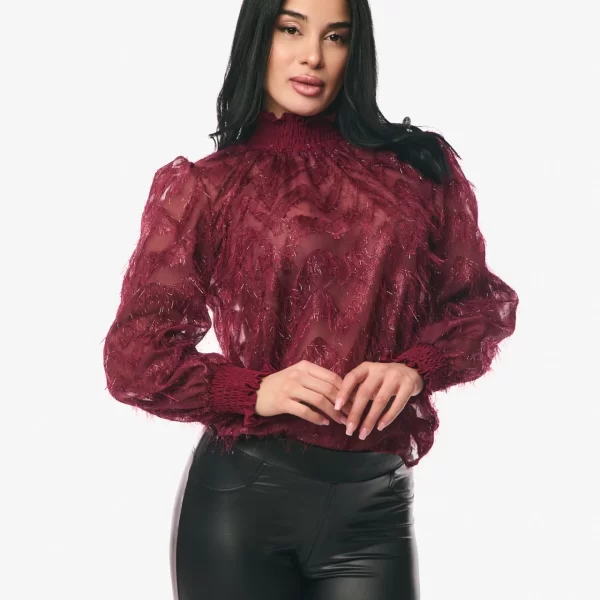 ΜΠΛΟΥΖΑ ΔΙΑΦΑΝΕΙΑ Μπορντό