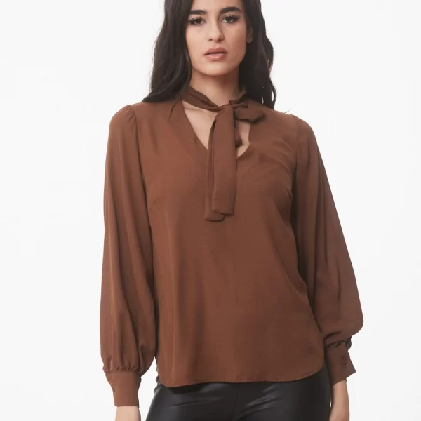 ΜΠΛΟΥΖΟΠΟΥΚΑΜΙΣΟ ΜΕ ΔΕΣΙΜΟ Καφέ