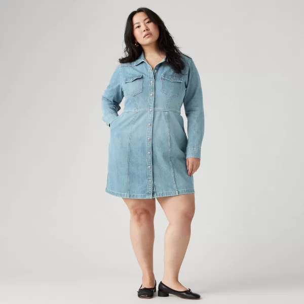 Φόρεμα Flynn Western