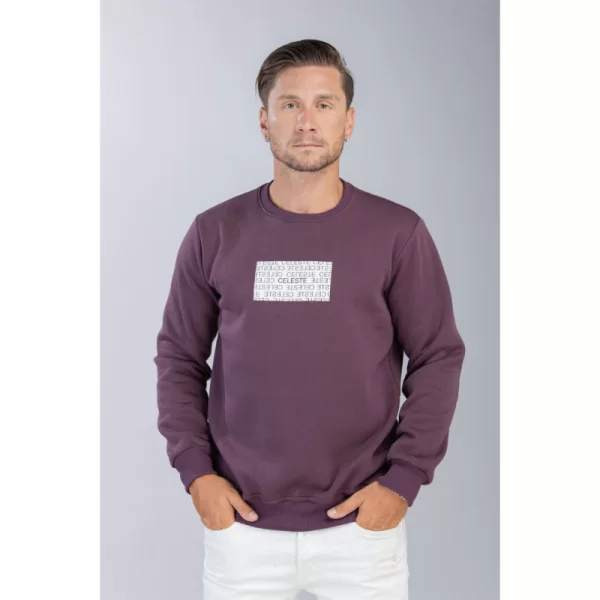 Τρίκλωνη φούτερ κολεγιακή 