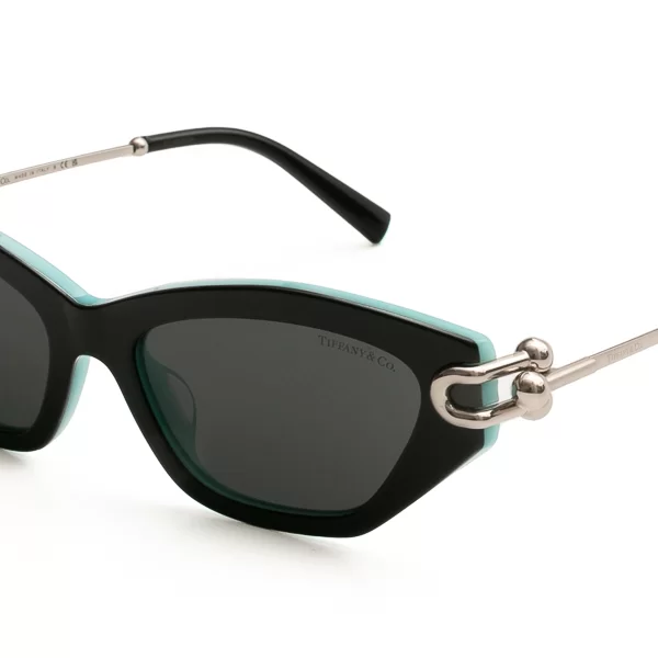 Tiffany & Co TIFFANY & CO ΓΥΑΛΙΑ ΗΛΙΟΥ TIFFANY & CO 4231U 8055S4 5317 4231U Μαύρο