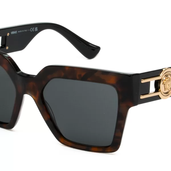 VERSACE ΓΥΑΛΙΑ ΗΛΙΟΥ VERSACE 4458 542987 5419 4458 Ταρταρούγα