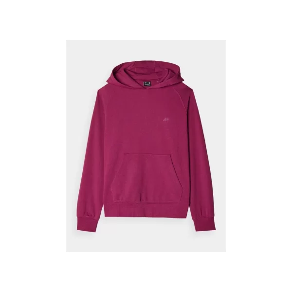 Sweatshirt 4F W 4FWMM00TSWSF146851S