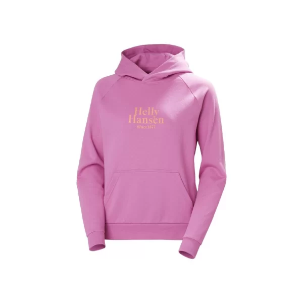 Helly Hansen Core Graphic Hoodie W 54239 089