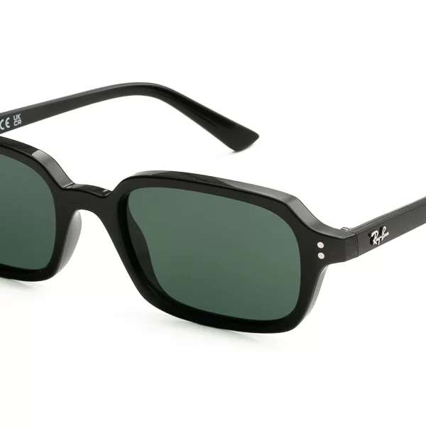 Ray Ban RAY BAN ΓΥΑΛΙΑ ΗΛΙΟΥ RAY BAN 4455 667771 5219 4455 Μαύρο