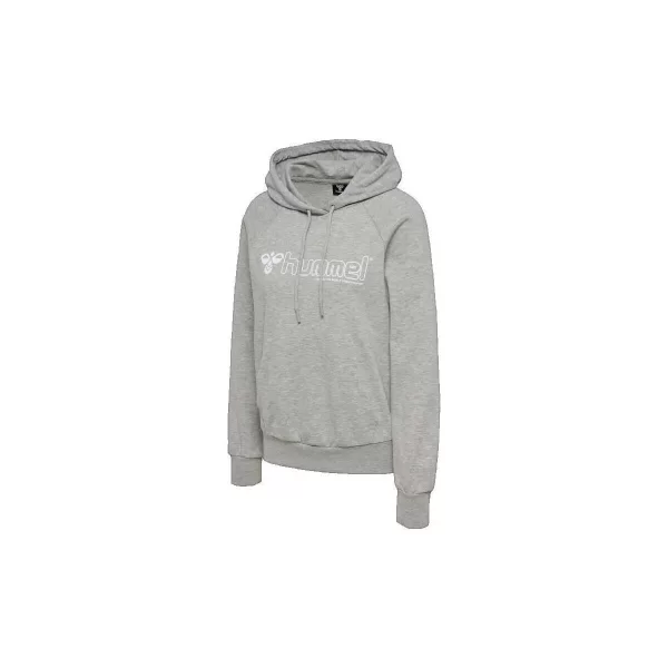 Φούτερ hummel Sweat à capuche Noni 2.0 gris