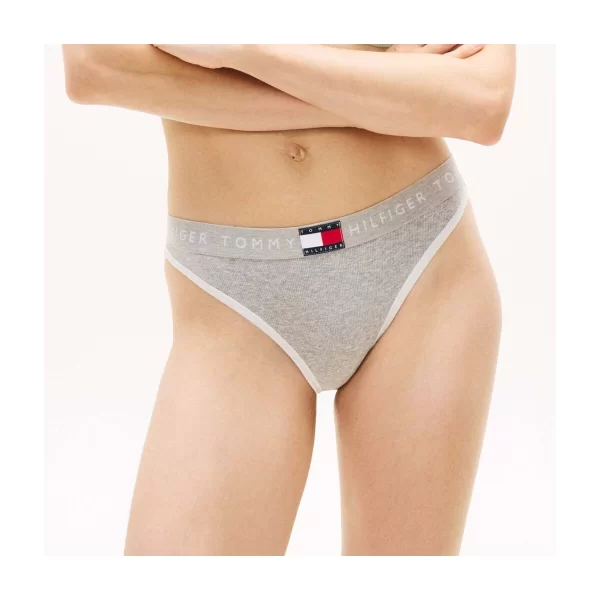 Slips Tommy Hilfiger UW0UW06274