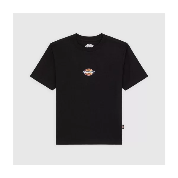 T-shirt με κοντά μανίκια Dickies MAPLE VALLEY REG TEE