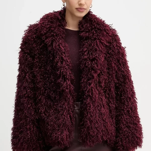 Παλτό Sandro Ferrone