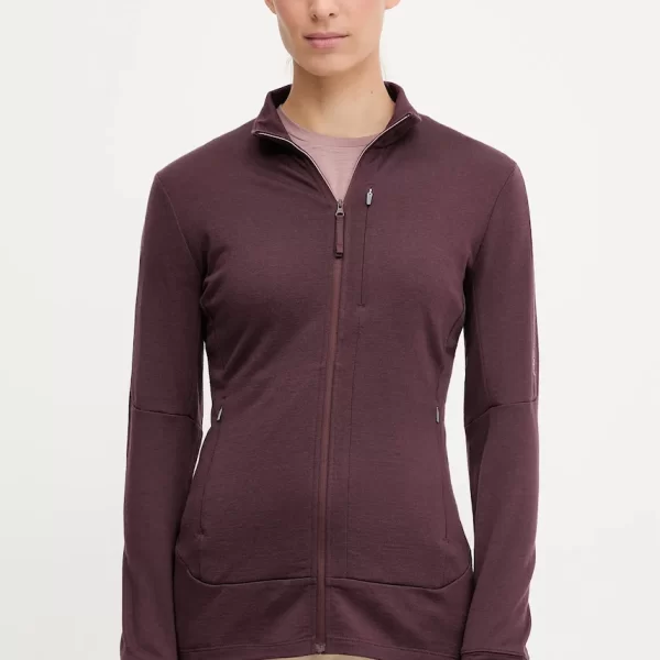 Αθλητική μπλούζα Icebreaker Merino 260 Quantum