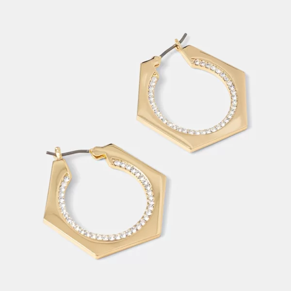 DKNY Σκουλαρίκια Dkny