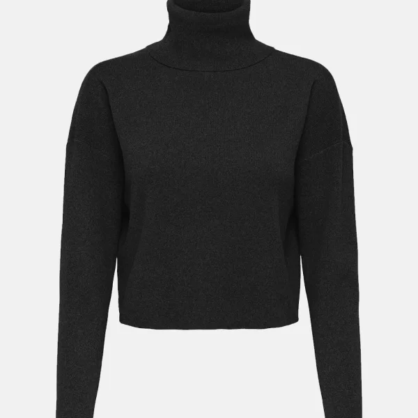 ONLY ONLAMA LIFE LS RIB ROLLNECK CC KNT 15350404-BLACK Black