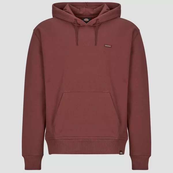 T-shirt με κουκούλα Dickies CLANCY BB HOODIE ANDORRA