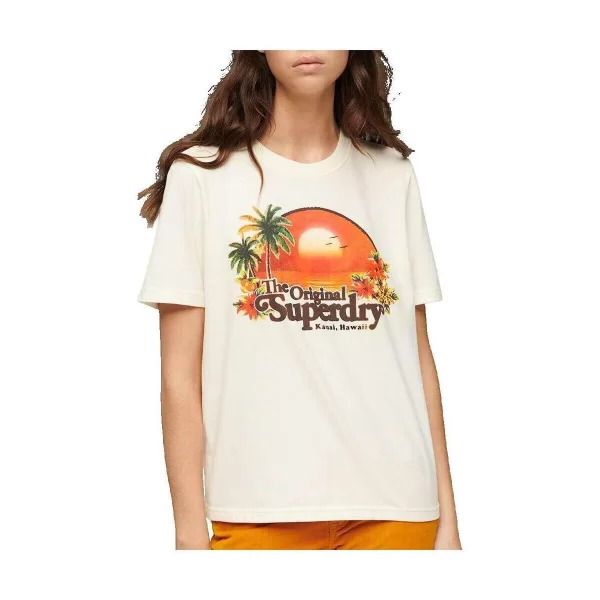 SUPERDRY T-shirt με κοντά μανίκια Superdry T-shirt Travel Souvenir Relaxed