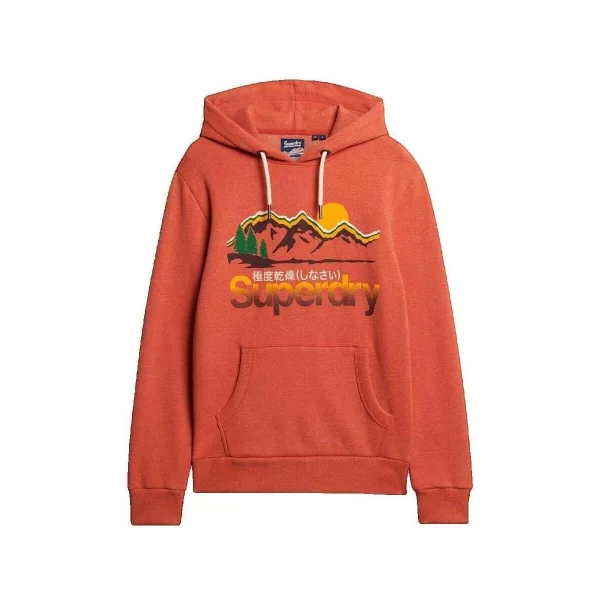 T-shirt με κουκούλα Superdry Sweat à capuche Great Outdoors Graphic