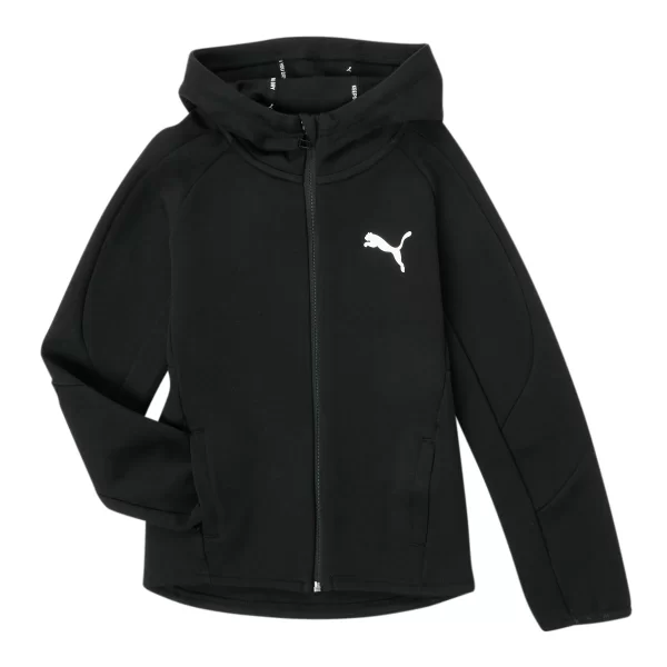 T-shirt με κουκούλα Puma EVOSTRIPE CORE FZ HOODIE