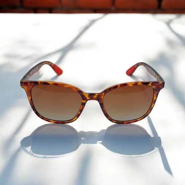 DASOON VISION ΓΥΑΛΙΑ ΗΛΙΟΥ POLARIZED ΚΑΦΕ ΤΥΠΟΥ WAYFARER ΜΕ ΚΑΦΕ ΦΑΚΟ