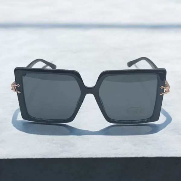 DASOON VISION ΓΥΑΛΙΑ ΗΛΙΟΥ ΤΕΤΡΑΓΩΝΑ ΜΕ ΜΑΥΡΟ ΣΚΕΛΕΤΟ ΚΑΙ ΧΡΥΣΗ ΛΕΠΤΟΜΕΡΕΙΑ ΣΤΟ ΒΡΑΧΙΟΝΑ