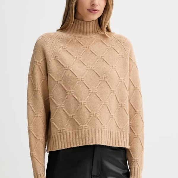 ELISABETTA FRANCHI Μάλλινο πουλόβερ Elisabetta Franchi