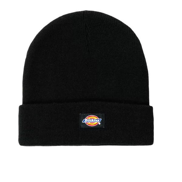 Dickies Σκούφος Dickies GIBSLAND BEANIE