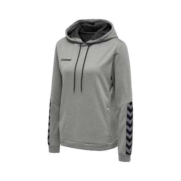 Hummel T-shirt με κουκούλα hummel Sweat à capuche Authentic gris